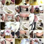 FF-260 公衆便所盗撮 流れないウンチ 激臭パニック 三 Defecation Scat 脱糞