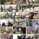 GHPM-97 Kasugano Yui, Seina Arisa, Miori Mai 女下忍衆 ~無念!!散りゐく雑魚くノ一たち~ 95分 宇那月 Giga