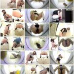 SL-179 新生・盗撮恥態トイレ うんこ漏らしプレミアム2 シャリラ 141分 ジェイド