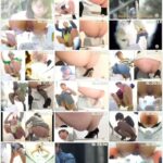SL-227 ジェイド 4カメ隠撮限界我慢大便4 ～漏れそなオナラに大小便～ 盗撮 脱糞 放尿 Defecation