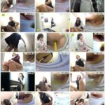 SL-233 社内隠撮 OL放屁下痢便記録2 給湯室横トイレで気まずい放屁排泄 ジェイド シャリラ Scat