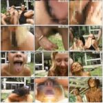 WSCD-02 ワールド・スカトロ・クレイジーＴｈｅ Ｓｈｉｔ Ｇａｎｇ！５ Other Foreigners アルファーインターナショナル ＷＯＲＬＤ ＳＣＡＴ