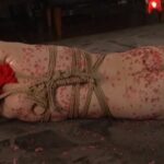 CMC-197 Ninomiya Keiko SM裏風俗に堕とされた世間知らずの箱入り妻 4 京都から来た貞淑人妻 Mahiro Uchida Collect