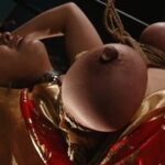 CMN-176 シネマジック 乳首責め 執拗系コレクション 6 乗田酢男 葵紫穂, 折原ゆかり, 武井麻希, 河西あみ, ＹＡＮＡＭＯ, 加納綾子