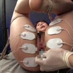 DNVC-001 Araki Mai 女体拷問研究所 VIOLENT CORRIDOR 暗黒の快楽地獄を彷徨うエリートの娘 Humiliation 緊縛 Torture Natsuki & Zankoku Brothers