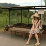 FAX-427 Iijima Kurara, Kujuu Miharu レイプの夏 一人歩きの女を襲う/アベック襲撃事件/人組に襲われた女 Exposure 100分 露出