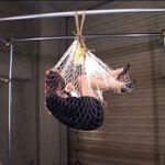 DBEB-002 Baby Entertainment 痙攣凌辱狂乱 凌辱という名の狂気なる媚薬 企画 催眠・ドラッグ Planning