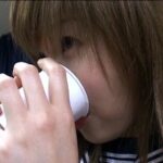 SRA-001 Gamou Jun 胎児の悪夢 妊婦SM調教絶叫図 120分 その他SM Other Anal Exposure 凌辱