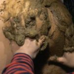 VRXSS-001 Sakura Yamayoi 原作 マサキ真司「毒姫の蜜 琥珀」 少女野外うんこ垂れ流し遊戯 飲尿 Piss Drinking 脱糞 Defecation