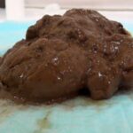 BB-009 激写!お浣腸の女 ジェイド BOUBA(ブーバ) Defecation