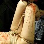 JBD-219 Nishita Karina 女子アナ 蛇縛の鬼畜監禁 アタッカーズ 監禁・拘束