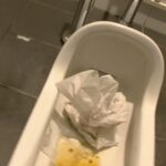 KBMS-044 私のオシッコとウンコお見せいたします Amateur 1113工房／妄想族 100分 Golden Showers Defecation