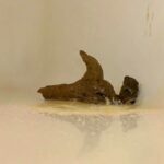 KBMS-049 私の汚いもの全部お見せいたします フェチ １１１３工房／妄想族