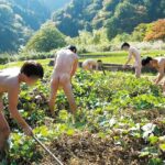 KTKY-025 [禁]日本乱交村伝説まとめ4時間 ～日本古来から山奥の集落で伝わる村人たちによる自給自足子作り禁断映像集～ Planning 企画 Kichikkusu / Mousou Zoku