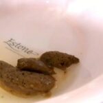 ODV-335 Ootsuka Furoppi- スカ系交際サイトで見つけた脱糞アクメ女 大塚フロッピー 浣腸