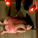 SID-045 Mamiya Jun 10 Anal Girl Doll Pet Kairaku Shiiku Abuse