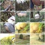 DNO-08 実録隠撮 野グソ野ション 8 Other Voyeur スカトロ 脱糞 ジェイド
