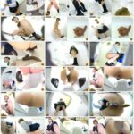 EE-271 女子校生トイレ盗撮 へたくそうんち School Girls ジェイド 脱糞