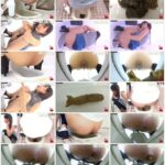 FF-380 盗覗4カメトイレ 美尻とウンコ 2 フィルス 224分 Scat Voyeur ジェイド
