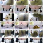 FF-387 だっぷんだあ!迫る肛門 ぶっかけウンコ! Anal スカトロ フィルス ジェイド
