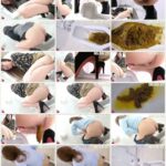 FF-391 6カメうんこ 女がうんこを置いて帰ったら… 3 ジェイド スカトロ Defecation