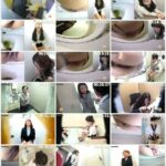 SL-266 社内隠撮 OL大便記録5 新入社員入り 給湯室横トイレで気まずい排泄 Defecation ジェイド Voyeur