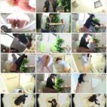 SL-310 盗撮 ガールズ糞パーティー 203分 Voyeur ジェイド