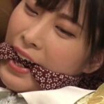 CMC-226 Hazuki Momo 肉辱獣の巣に落とされた女流SM作家 Mahiro Uchida 110分 Collect Training