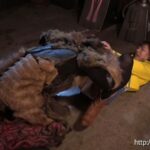 RYOJ-09 Ikoma Haruna (生駒はるな) ヒロイン凌辱Vol．109 危うしカイザーイエロー！怪人集団の魔の手！ Humiliation 戦隊・アニメ・ゲーム Costume