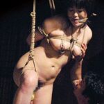 REBN-074 Miyachi Nana 家族間肉欲遊戯 近親相姦三世代 REBORN Incest