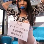 VICD-225 Nakayama Haruna ＲＥＳＰＥＣＴ 陽菜 極上ＢＯＤＹの激イイ女を路線バスに終日拘束… Rape 4VIC 乱交 Baba★za★ Babii