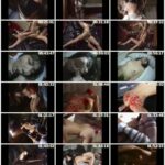 ADVO-140 Kitamura Enashi 奴隷通信No．1＋乱舞’96 ArtVideo SM
