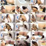 EE-401 ジェイド EVO厳選 極太うんこ盗撮ベスト 盗撮 Defecation