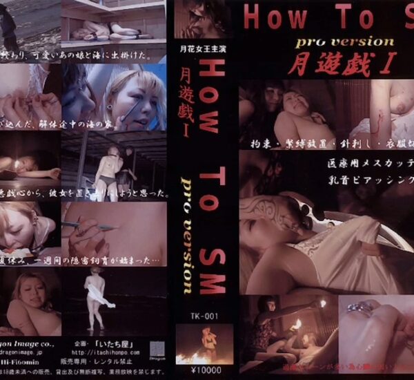 TK-001 月遊戯1 海の家 dragon image Devil