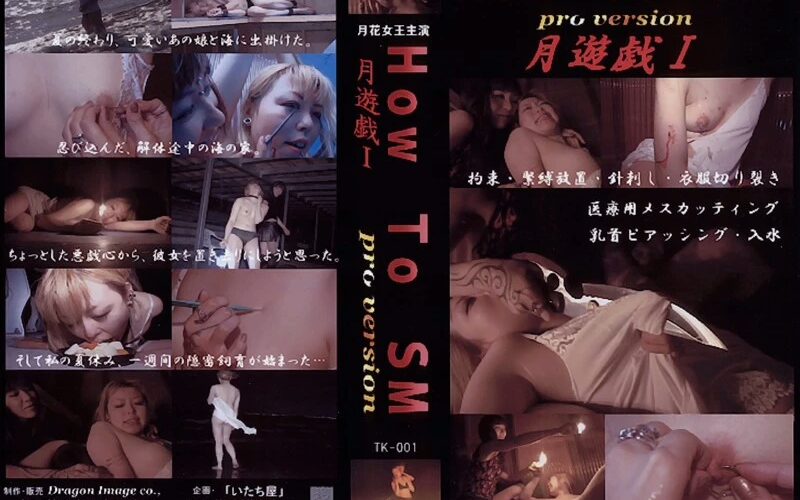 TK-001 月遊戯1 海の家 dragon image Devil