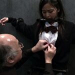 DDHH-012 Ichikawa Kanon 監禁 男の性奴〇になった私 Cum 接吻 中出し 微乳 Dogma