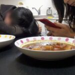 DWD-050 Nagasawa Maomi やりまん女 淫乱痴女のやりまくりイキまくりセックスライブ お姉さん Golden Showers