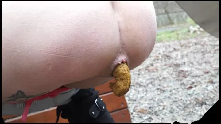 Power-Pissing Annie Removed Videos Shitting on the playground