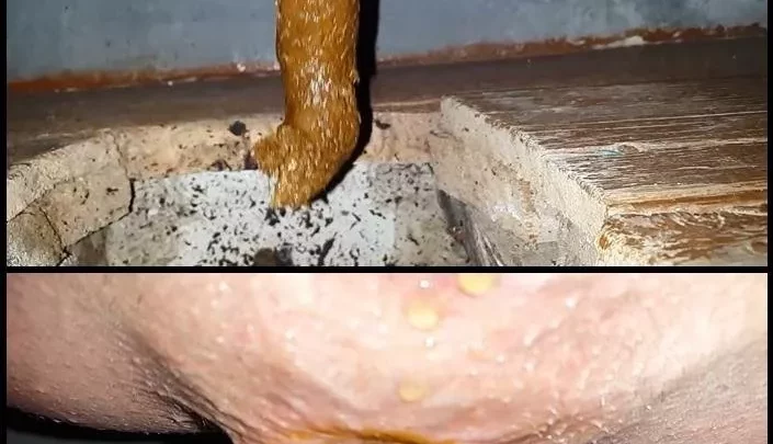 Anna Coprofield Village Compilation 5 Shit Toilet Outdoor