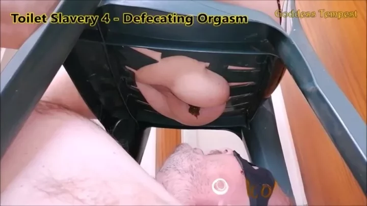 Broken TEMPEST 26 GODDESS Explosion Diarrhea Toilet
