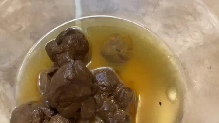 Chronic Goddess Be My Human Toilet