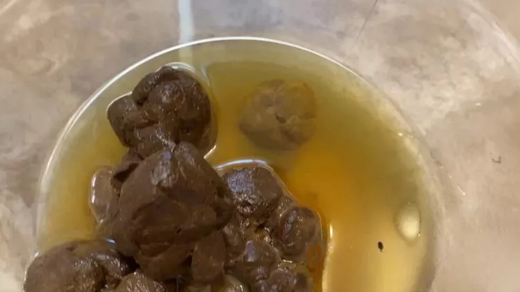 Chronic Goddess Be My Human Toilet