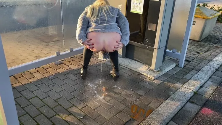 Devil Sophie Shed on ticket machines now fully lubricated