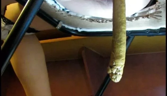 Eva Lbs 2 feet turd of SHIT from my 110 lbs body For my customer