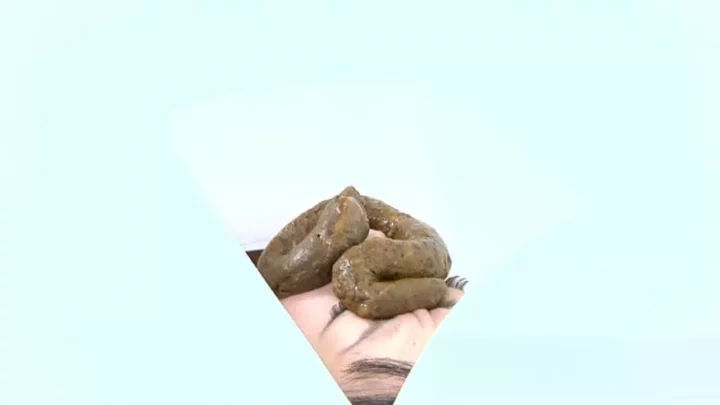 Japan Girls The Human Toilet 4