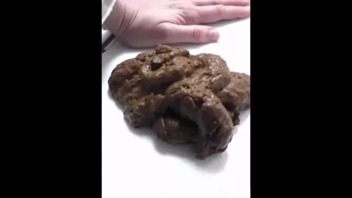 Kim Slavery Koettbullar 21 Toilet