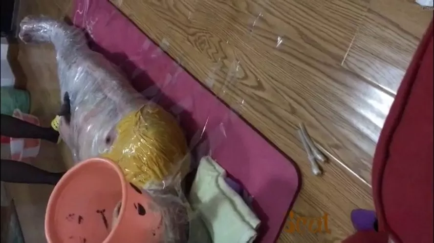 Live Asian Toilet Submissive Wrapped In Tape P1