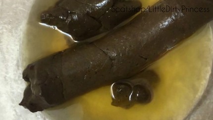 Screenshot 4 from How Long is My Poop
