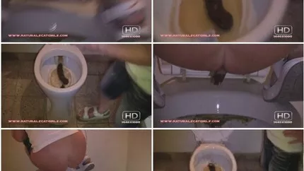 Screenshot 2 from Natural huge log of poop in a public toilet. P1