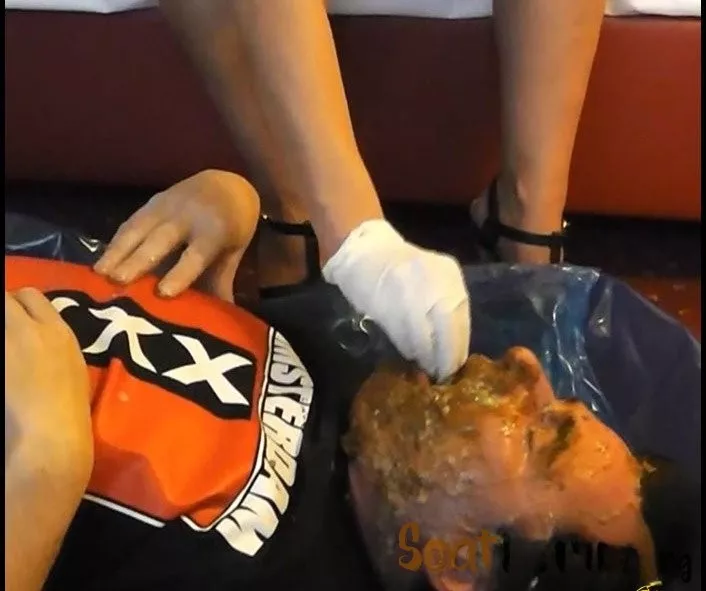 PrincessMonica Domi Cat Shit Stuffing 2017